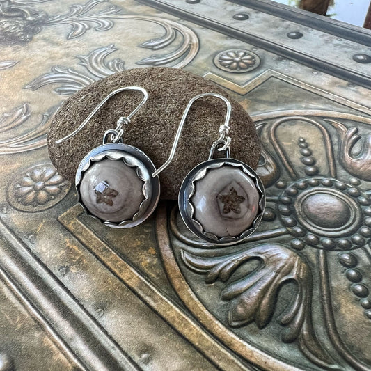 STERLING SILVER STAR CRINOID EARRINGS - GROUNDING TALISMAN