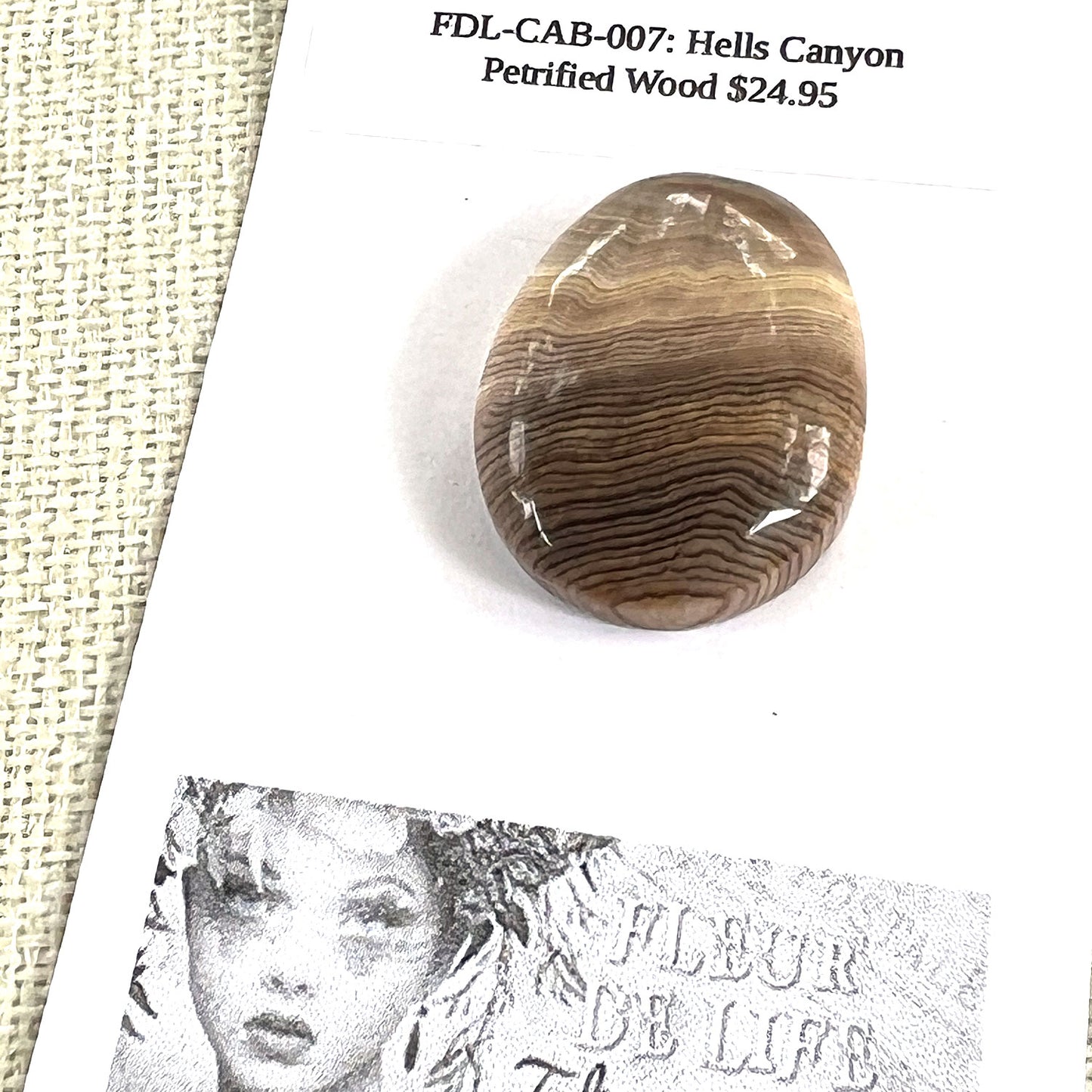 HELLS CANYON PETRIFIED WOOD OVAL CABOCHON. EARTH TONES. 30MM X 22MM x 8MM.