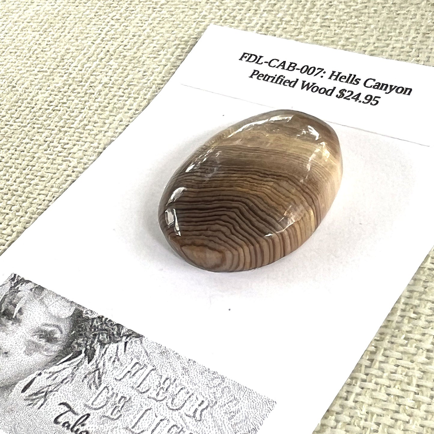 HELLS CANYON PETRIFIED WOOD OVAL CABOCHON. EARTH TONES. 30MM X 22MM x 8MM.