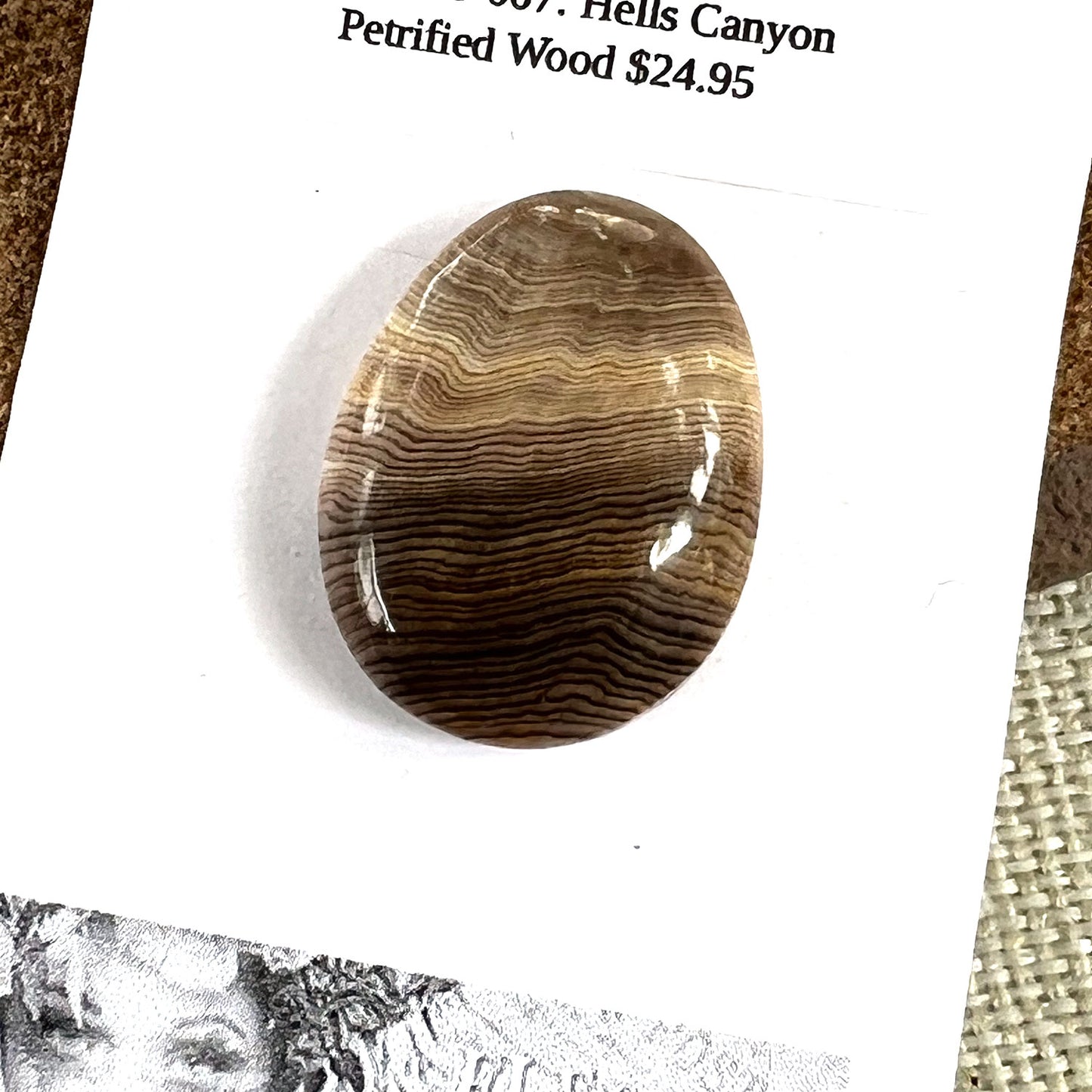 HELLS CANYON PETRIFIED WOOD OVAL CABOCHON. EARTH TONES. 30MM X 22MM x 8MM.