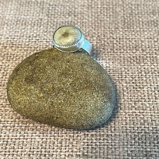 STERLING SILVER STARFISH FOSSIL JEWELRY - SEA SPIRIT TALISMAN