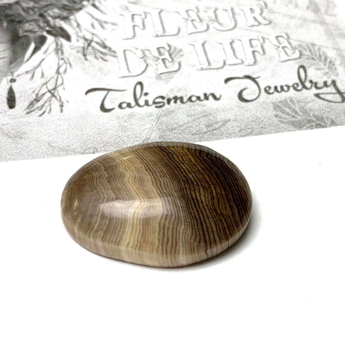 HELLS CANYON PETRIFIED WOOD OVAL CABOCHON. EARTH TONES. 30MM X 22MM x 8MM.