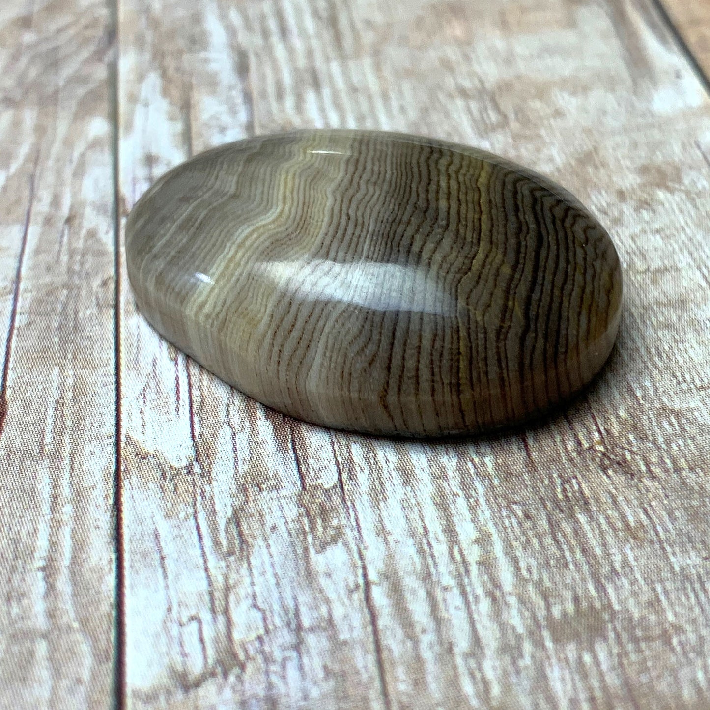 HELLS CANYON PETRIFIED WOOD OVAL CABOCHON. EARTH TONES. 30MM X 22MM x 8MM.