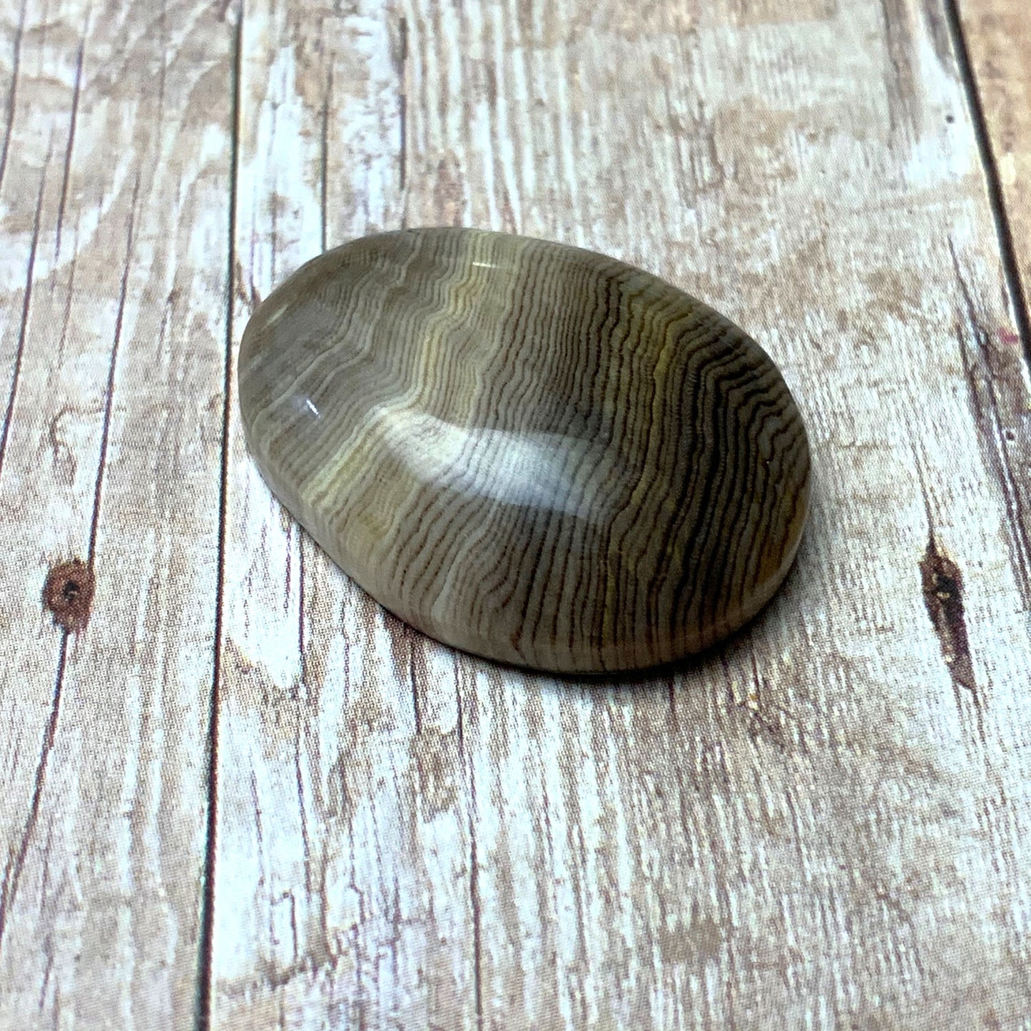 HELLS CANYON PETRIFIED WOOD OVAL CABOCHON. EARTH TONES. 30MM X 22MM x 8MM.